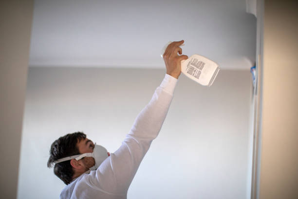 Best Mold Removal and Inspection  in Calabash, NC