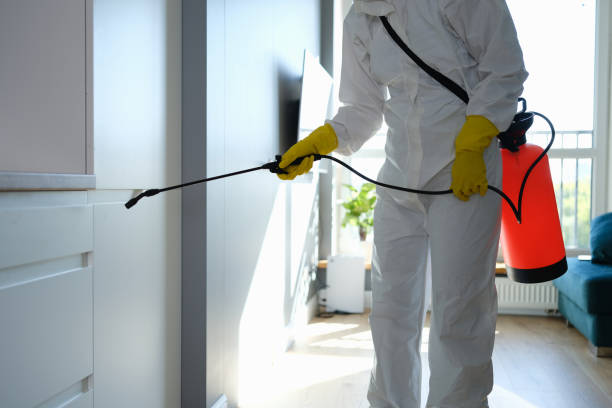 Best Mold Damage Repair  in Calabash, NC