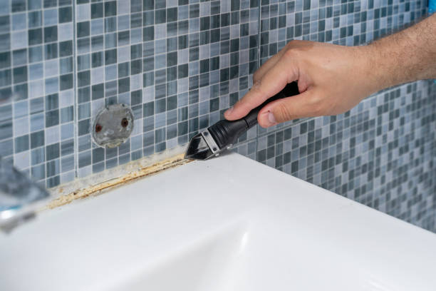 Best Professional Mold Removal  in Calabash, NC